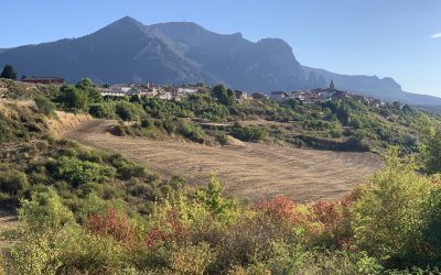 Patrimonio medieval de la Sierra de Codés: la villa de Aguilar, el santuario de Nuestra Señora de Codés y el monasterio de Azuelo (1 y 2 de octubre)