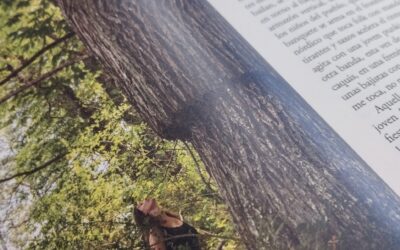 La encina de Artziniega y el Castañar de Apellániz (árbol y bosque del año 2025)