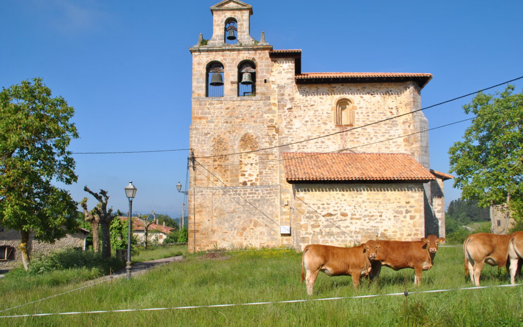 EXCURSIÓN: «Historia y patrimonio en el valle de Zuya: Zarate, Domaikia y Ametzaga” (15 y 16 de marzo)